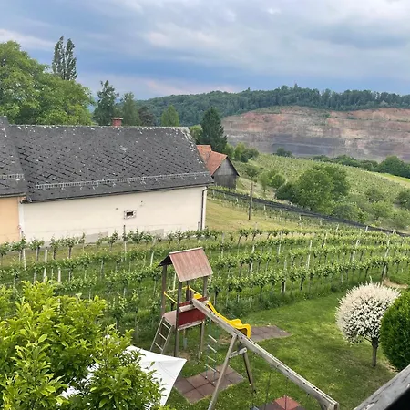 Weingut Giessauf-nell Проживание в семье Клёх